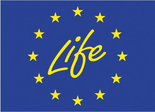 Life logo